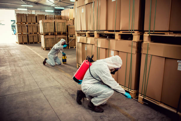 Best Cockroach Control Services  in Moore, OK