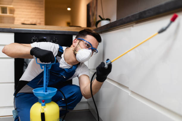 Best Termite Control Services  in Moore, OK
