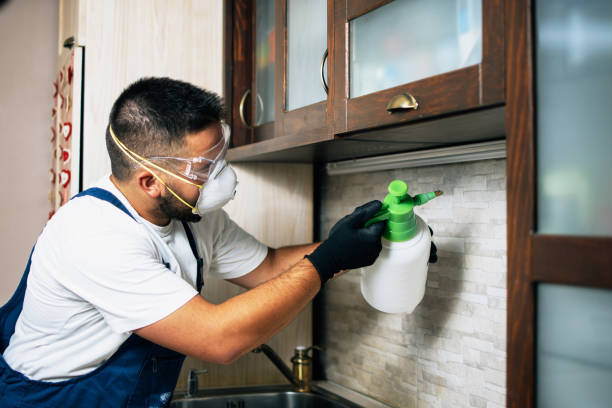 Best Pest Prevention Services  in Moore, OK
