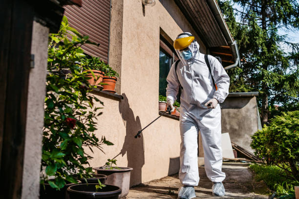 Best Spider Control Near Me  in Moore, OK