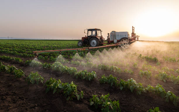 Best Mosquito Control Services  in Moore, OK