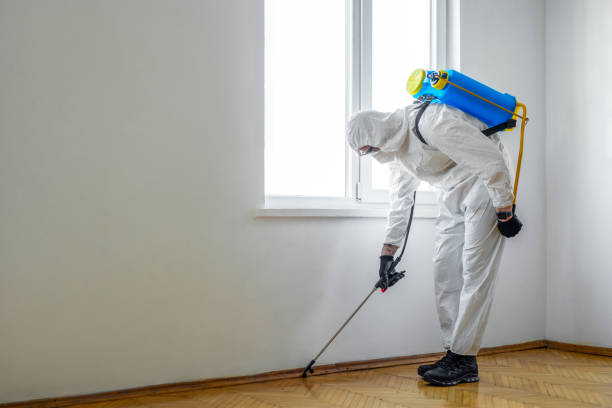 Best Pest Removal Services  in Moore, OK