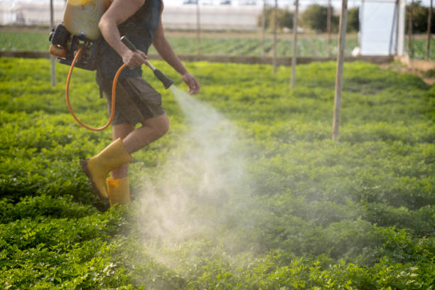 Reliable Moore, OK Pest Control Solutions