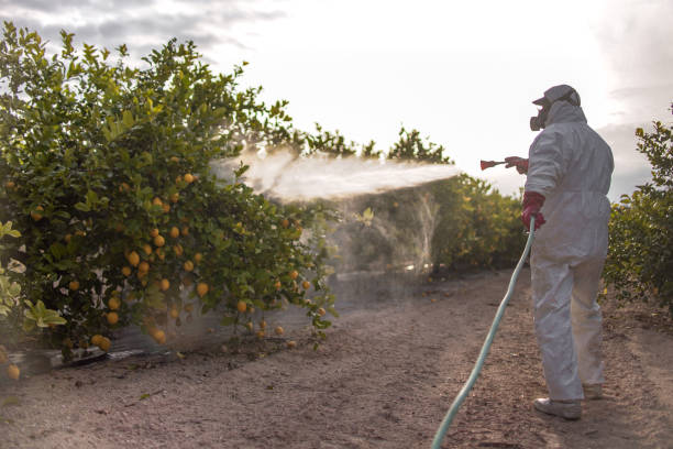 Best Pest Inspection Near Me  in Moore, OK