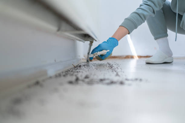 Best Affordable Pest Control Services  in Moore, OK