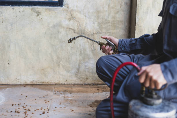 Best Best Pest Control Companies  in Moore, OK