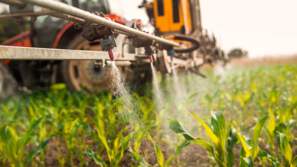 Best Pest Prevention Services  in Moore, OK
